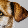 Mini Hand-Embroidered Pet Portrait — Silk Embroidery, 6" | Suxiu Studio
