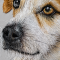 Mini Hand-Embroidered Pet Portrait — Silk Embroidery, 6" | Suxiu Studio